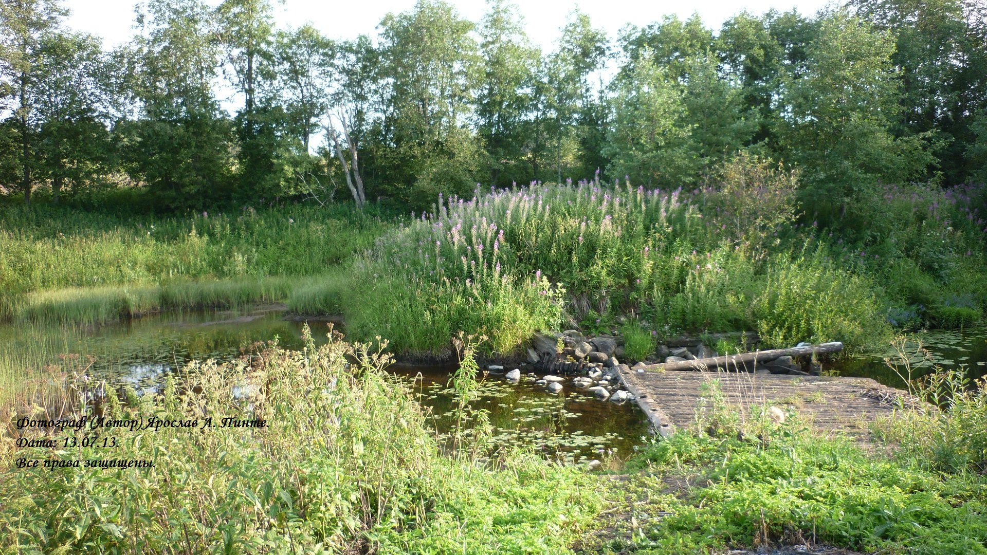 photo
