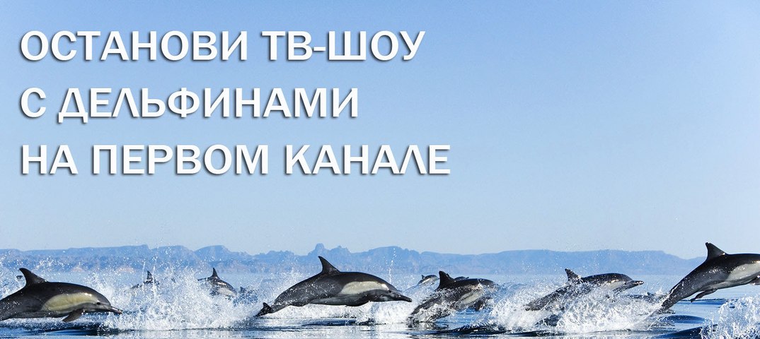 @channelone_rus, остановите ТВ-шоу &quot;Вместе с Дельфинами&quot;