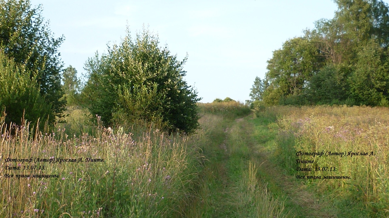 photo